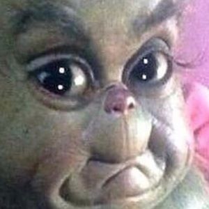 Meet your Posher, Bella